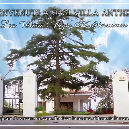Vakantiehuis Oasi Anthea Monopoli