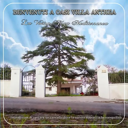 Oasi Anthea Vakantiehuis